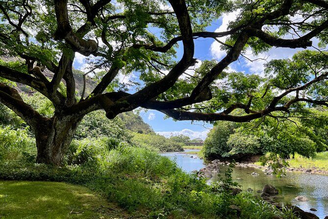 Private North Shore Oahu Tour ft. Waimea Falls-Customizable - What Makes This Tour Stand Out