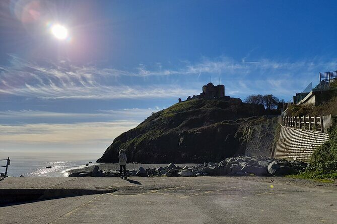 Private North West Wales Portmerion and Castles - Who Is This Tour Best For?