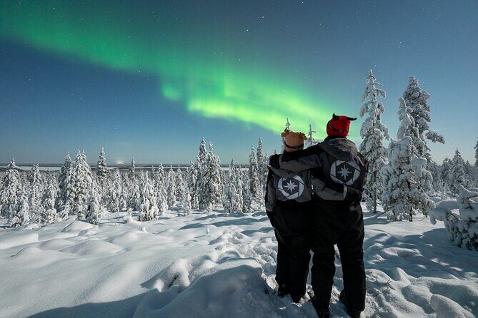 Private Northern Lights photography tour in Rovaniemi - The Cost and Value