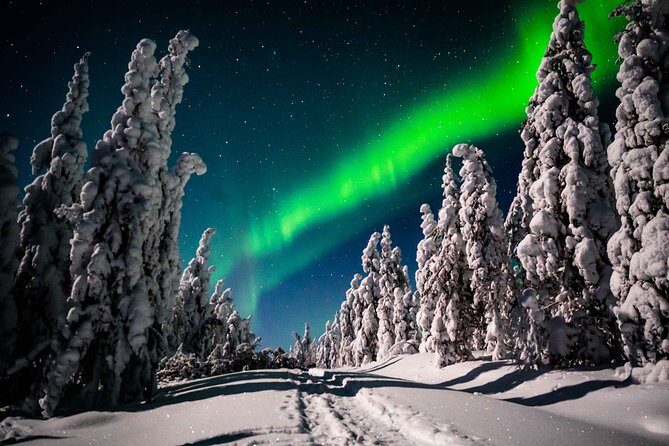 Private Northern Lights photography tour in Rovaniemi - The Sum Up