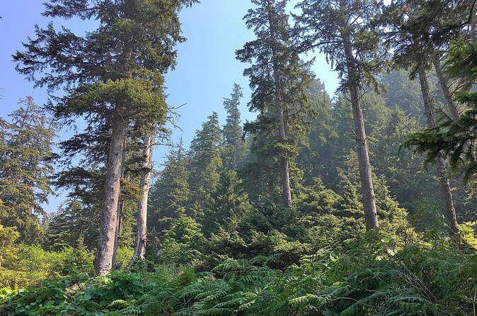 Private Northern Oregon Coast Tour - FAQ