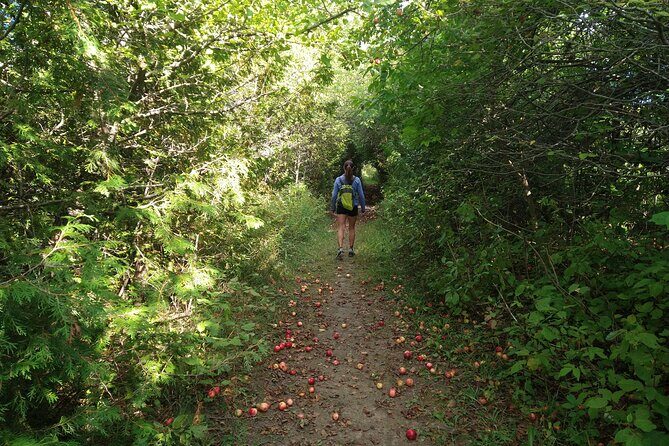 Private Nottawasaga Bluffs Caves Hiking Tour,Collingwood/Creemore - Discovering the Nottawasaga Bluffs Caves