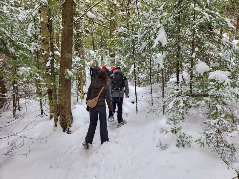 Private Nottawasaga Bluffs Caves Snowshoe-Creemore/Collingwd - Overall Impressions