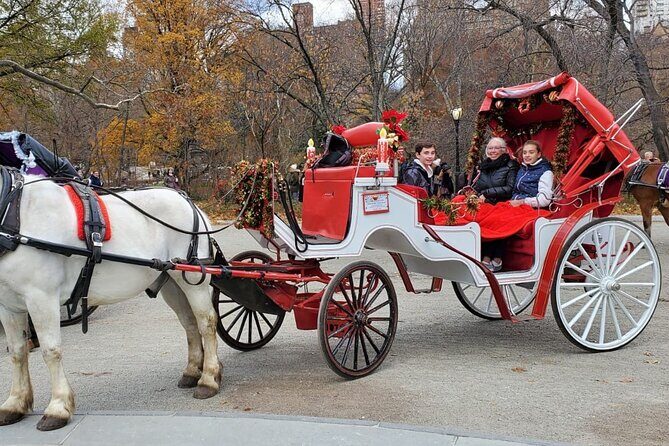 Private NYC Central Park Horse Carriage Ride (Guided) Since 1965 - Who Will Love This Experience?