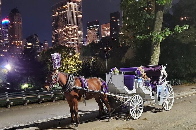 Private NYC Central Park Horse Carriage Ride (Guided) Since 1965 - FAQs