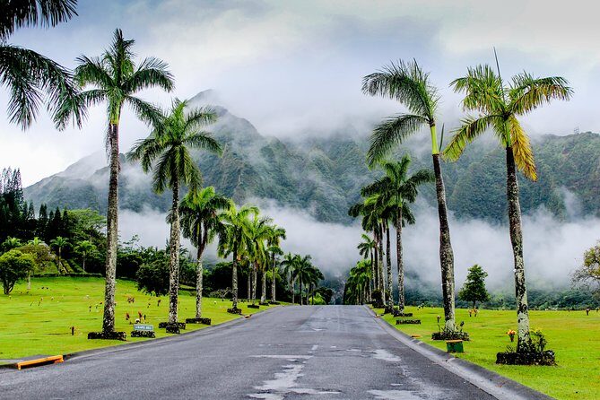 Private Oahu Circle Island Tour - Final Thoughts: Is This Tour Right for You?