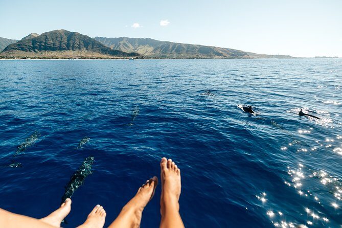Private Oahu Sunset Charter with Tasting and Drinks - Who Should Consider This Experience?
