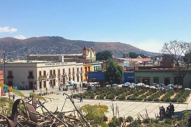 Private Oaxaca Walking Tour with Mezcal Tasting - A Closer Look at the Tour Itinerary