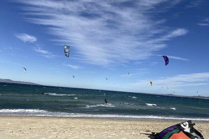 Private Ocean Safari in La Ventana: Marine Wildlife Experience - The Experience from Other Travelers’ Perspectives