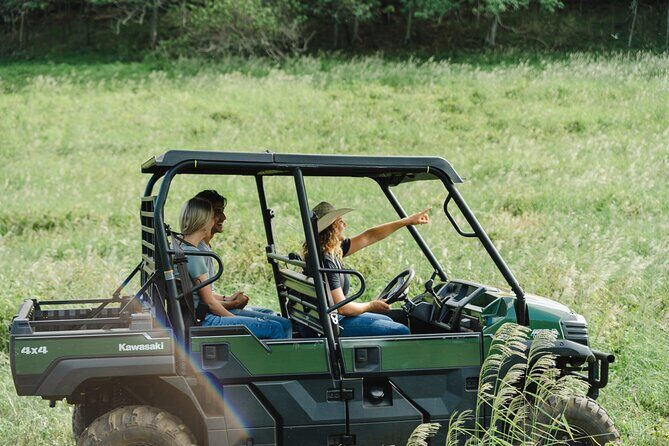 Private Off-Road Adventure Tour - Discover the Off-Road Adventure in Oahu: An Honest Review