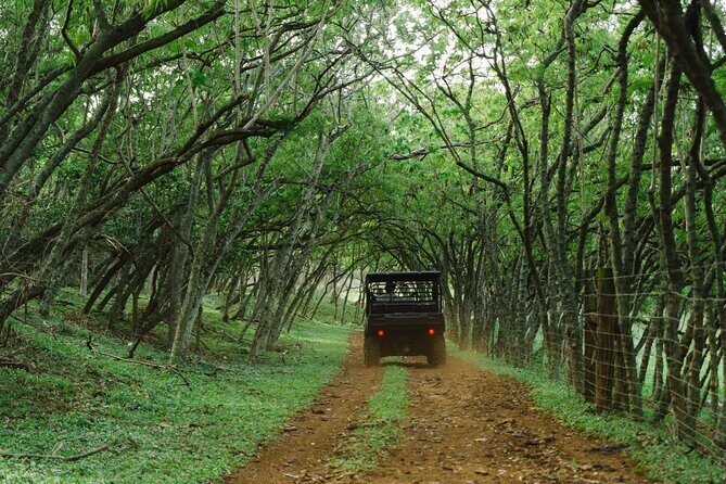 Private Off Road Explorer's Tour - Authentic Feedback from Tour Enthusiasts