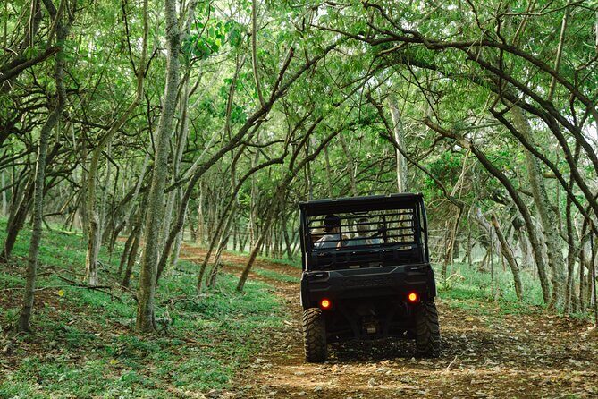 Private Off-Road Sunset Dinner - In The Sum Up