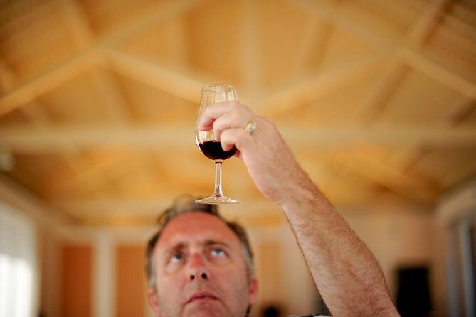 Private off the beaten Douro Valley Wine Tour - Who Would Love This Tour?