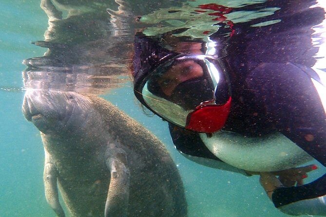 Private 'OG' Manatee Snorkel Tour with Guide for up to 10 people - FAQs