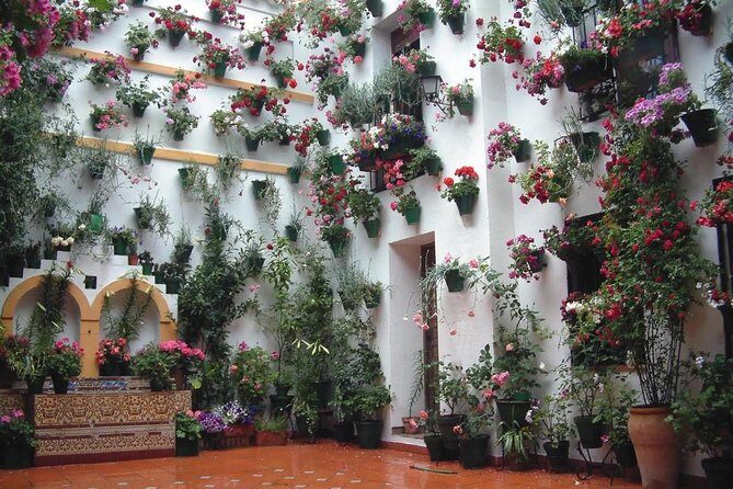 Private Old Cordoba walking tour and Mosque-Cathedral - Real Experiences and Feedback