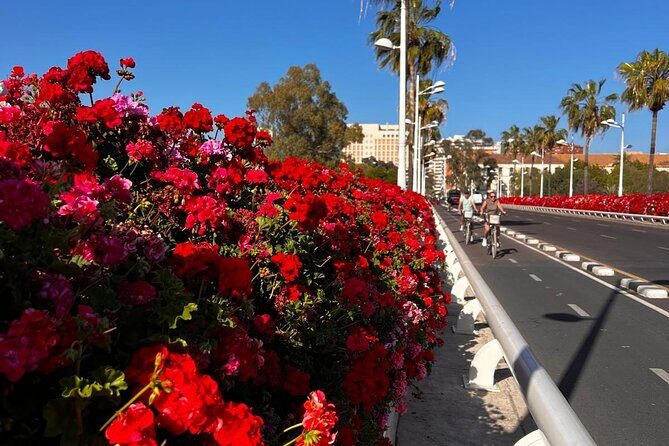 Private Old Town Golden Age Valencia Tour - Key Points