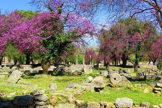 Private Olympia tour (4.5 hours) - Exploring Olympia: The Heart of Ancient Greece