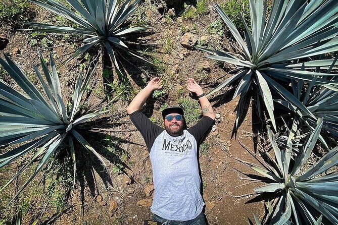Private One Day Adventure Tour in Tequila and La Fortaleza Distillery - Who Is This Tour Best Suited For?