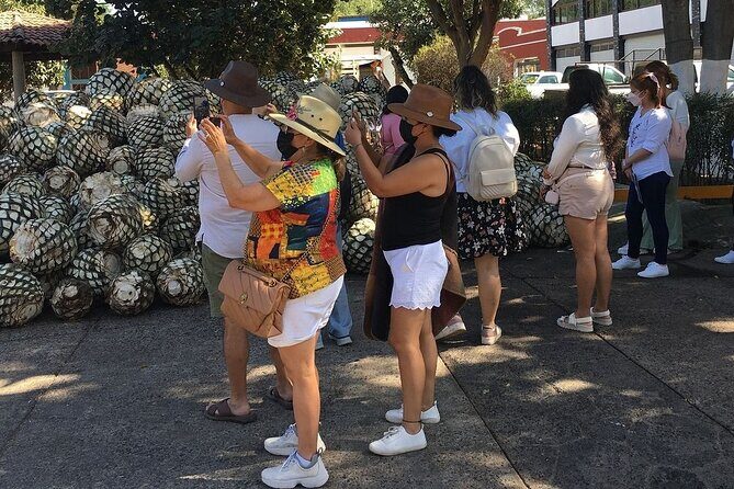 Private One Day Tour in Los Guachimontones and José Cuervo Tequila - Who Should Consider This Tour?