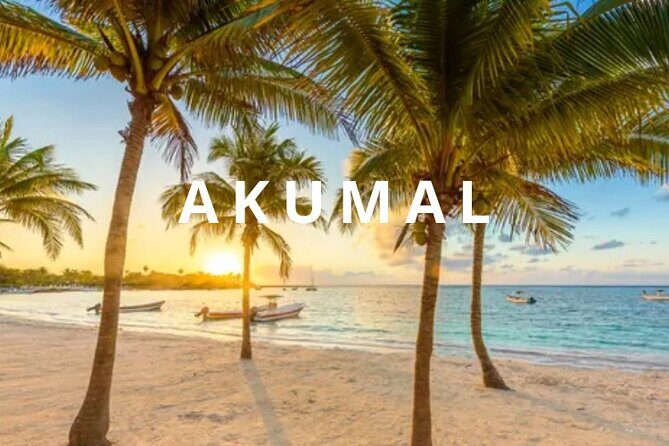 Private one-way airport transfer from Cancun - Akumal. - Introducing a Reliable Flight Transfer from Cancun to Akumal
