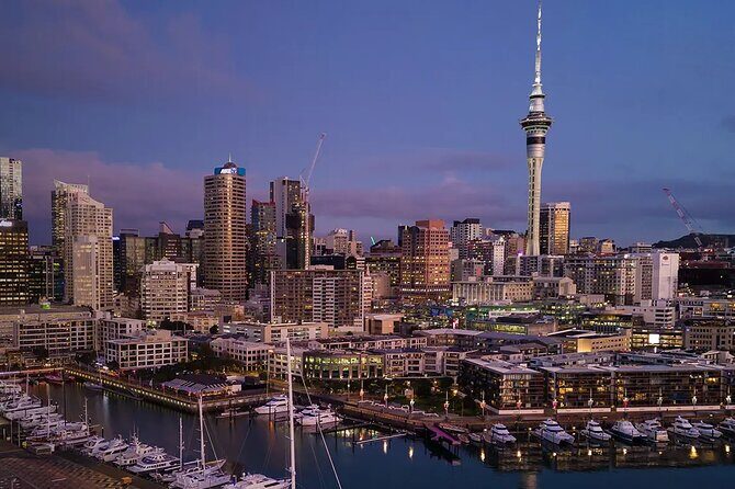Private One-Way Transfer: Auckland Airport to Auckland City Hotel - Key Points