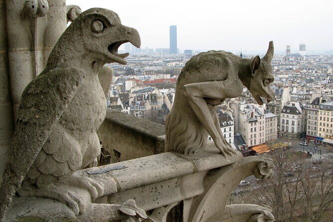 Private One-Way Transfer: City of Paris - The Real-World Review Insights