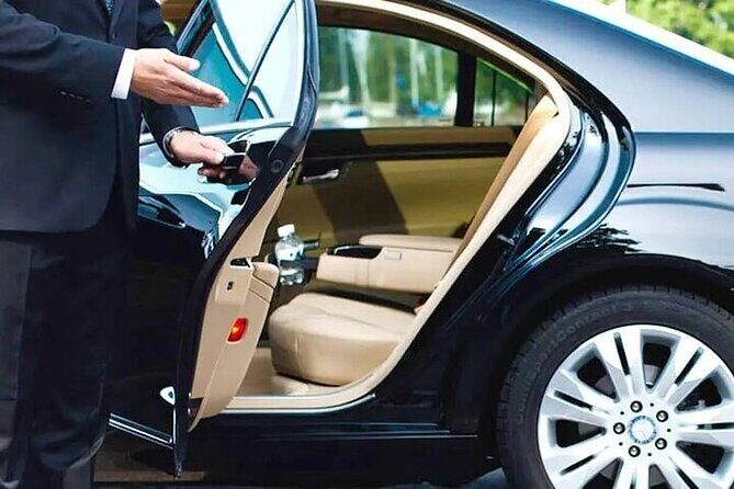 Private One-way Transfer From Catania to Catania Airport - Who Should Consider This Transfer?