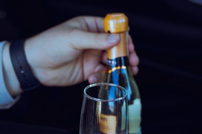 Private One Way Transfer in Sofia - Who Is This Best For?