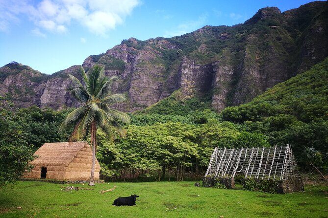 Private One way Transfer Waikiki Hotel and Kualoa Ranch - Key Points