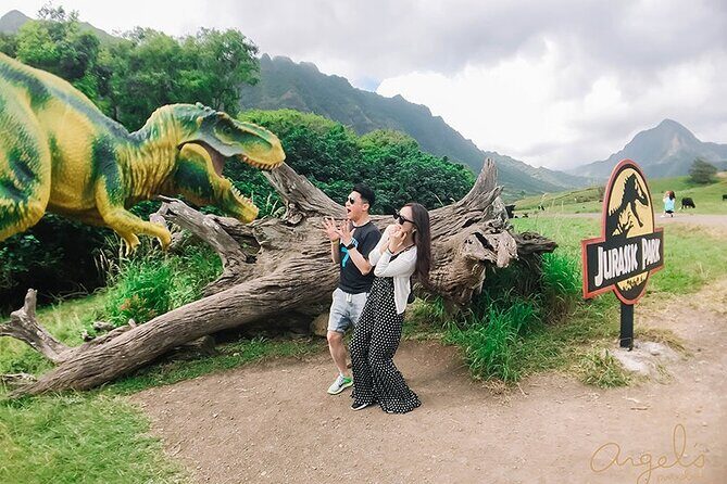 Private One way Transfer Waikiki Hotel and Kualoa Ranch - What about the vehicle and driver?