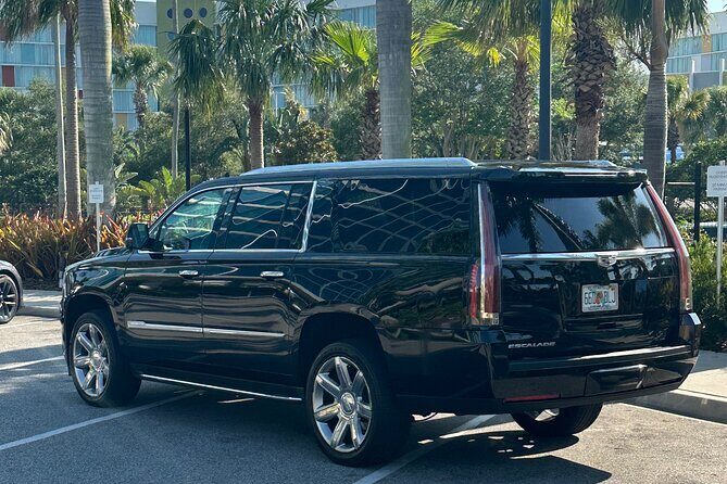 Private Oneway Pick Up from Port Canaveral to Orlando Int Airport - Who Should Book This Transfer?