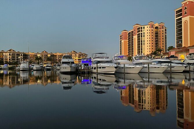 Private ONLY Dolphin Boat Tours - The Overall Experience