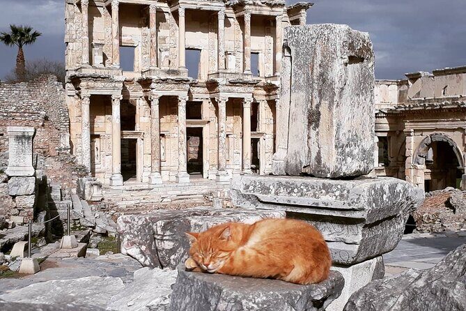 Private or Group Ephesus & Terrace Houses with Ticket for Cruiser - What the Reviews Say