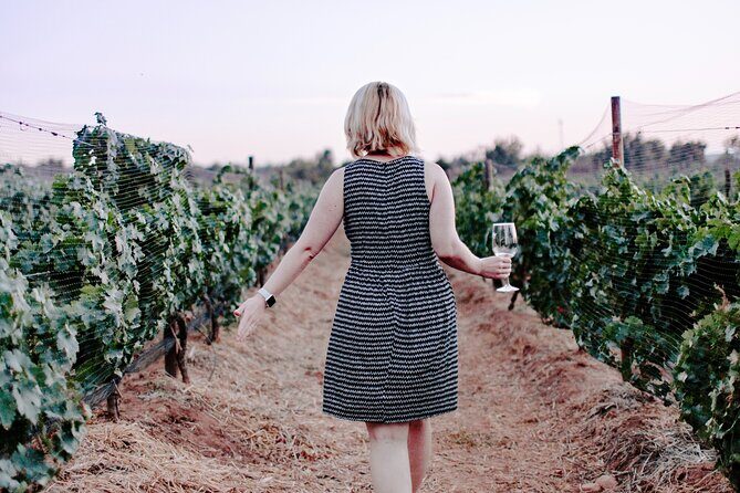 Private Oyster and Wine Tasting Day Trip along Peljesac - Key Points