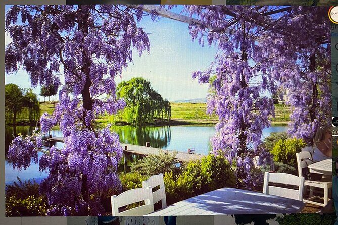 Private Paint and Sip Experience in Wine Country - How It Compares to Other Experiences