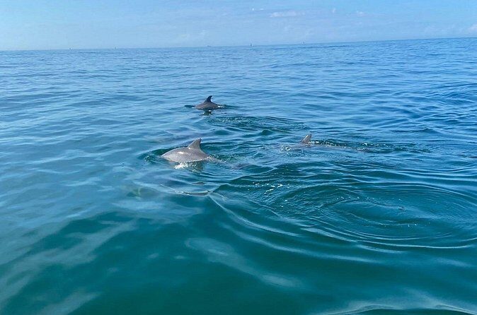 Private Panama City Beach Sunset Tour - An In-Depth Look at the Private Panama City Beach Sunset Tour