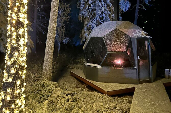 PRIVATE Party dinner in a Glass Igloo Under Northern Lights - What We Loved From the Reviews