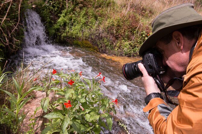 Private Photo Workshop and Sightseeing in Wasatch Mountains - Key Points