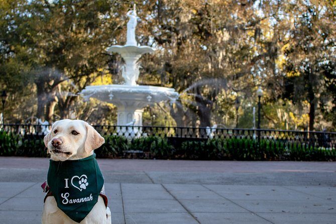 Private Photoshoot in Savannah, GA - Price and Value