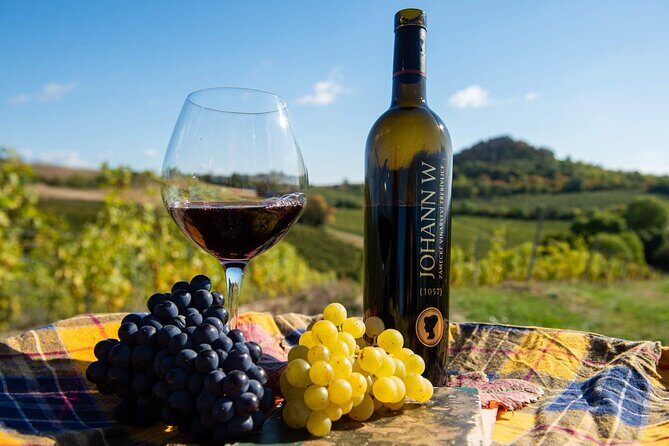 Private PICNIC in Bohemian Vineyards and Wine Tasting 4WD Tour - Key Points