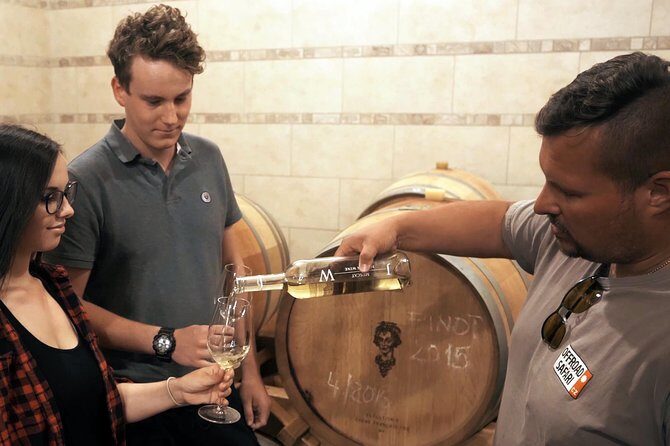 Private PICNIC in Bohemian Vineyards and Wine Tasting 4WD Tour - Final Thoughts