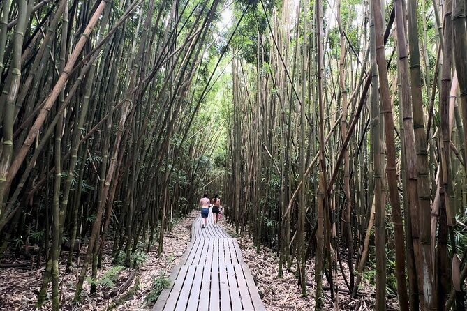 Private Pipiwai Trail Maui Open-Air Jeep Tour - FAQ