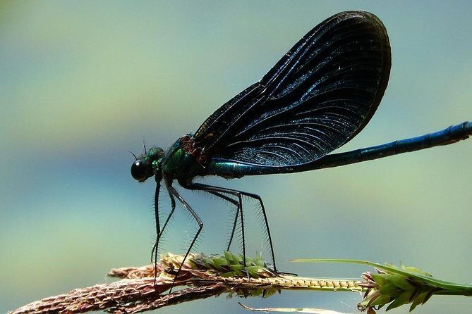 Private Plitvice Lakes - a Day In Magicland From Split - Insights from Reviews