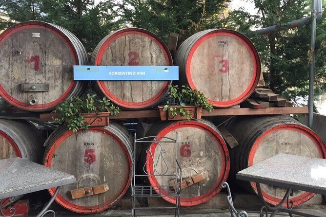 Private Pompeii and Herculaneum Day Tour with Pick Up - Exploring the Itinerary in Detail