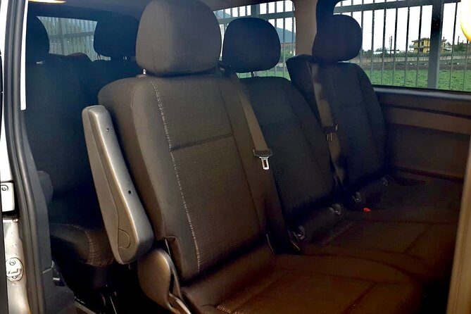 Private Pompeii, Sorrento & Mozzarella Making Tour from Naples - The Mozzarella Farm Experience