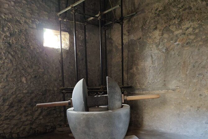 Private Pompeii Tour with Fast-Entrance Tickets to the Ruins & Exclusive Guide - Who Should Consider This Tour?