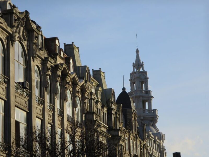 Private Porto Half-Day Tour - Wine Cellars & Cheese Tasting - A Deep Dive into the Porto Food & Wine Experience