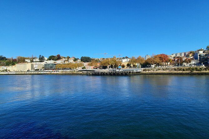 Private Porto Tour: City Walk, Douro River Cruise & Wine Tasting - Who Will Love This Tour?