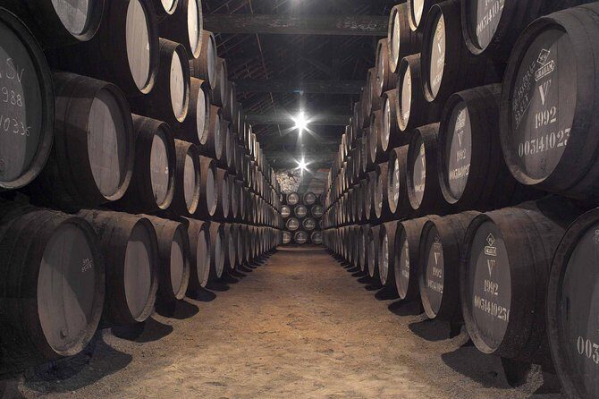 Private Porto Tour from Lisbon - The Wine Capital of Portugal - Analyzing the Value and Experience