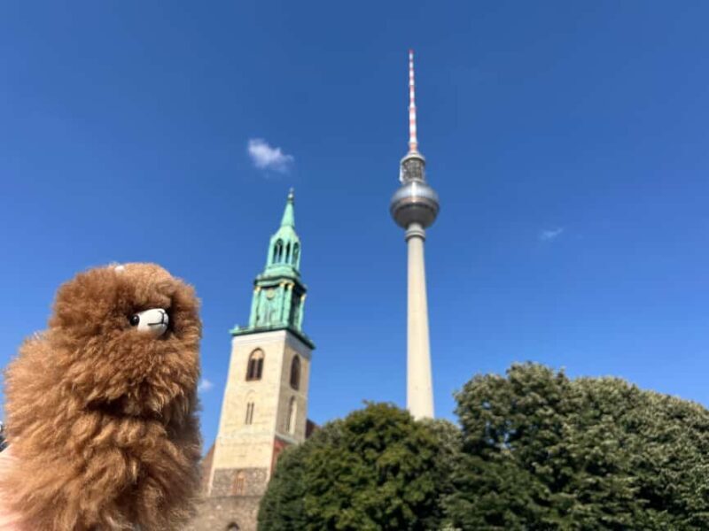 Private Potsdam Highlights: Half-Day Guided Tour Experience - Strengths and Considerations